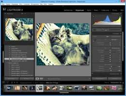 Adobe Photoshop — скриншот 3