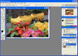 Adobe Photoshop — скриншот 4